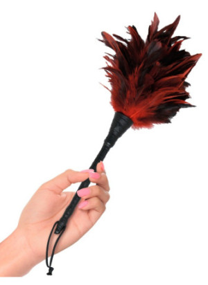 Frisky Feather Duster
